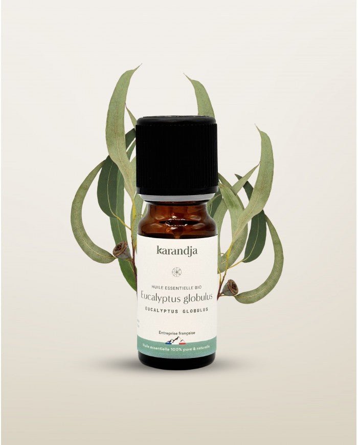 HE Eucalyptus Globulus BIO - 10 mL - NOUVEAUTE - goobio - and - zen