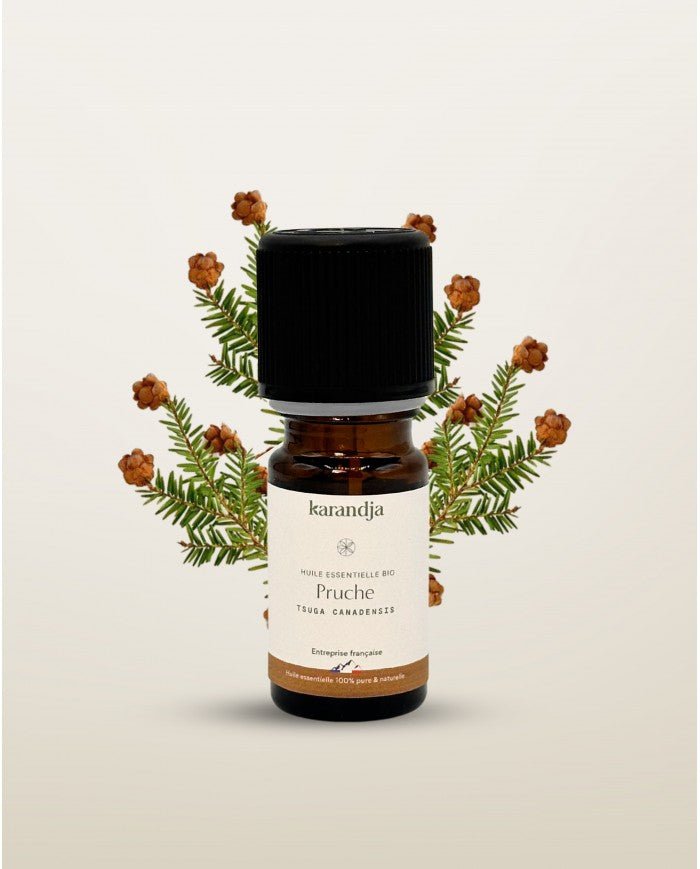 HE Pruche BIO - 5 mL - NOUVEAUTE (Bientôt disponible) - goobio - and - zen