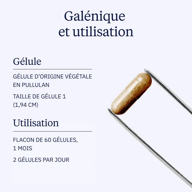 Safran BIO - 60 gélules