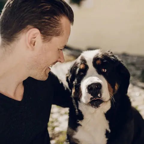 Bouillon d'os de boeuf pour chiens - 370 ml - goobio-and-zen