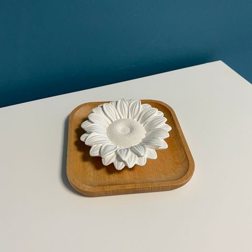 Difusor de yeso: Astelia