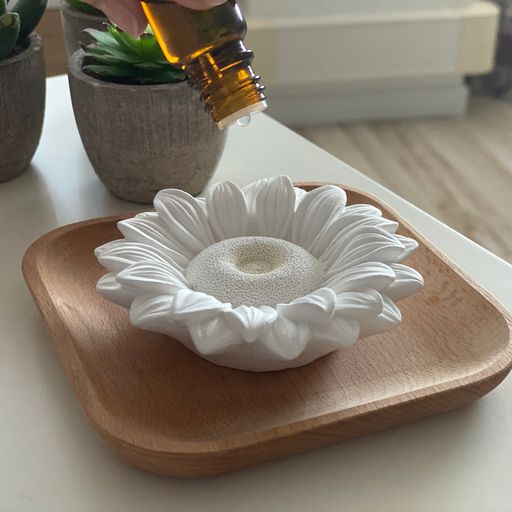 Gipsrooster: Astelia