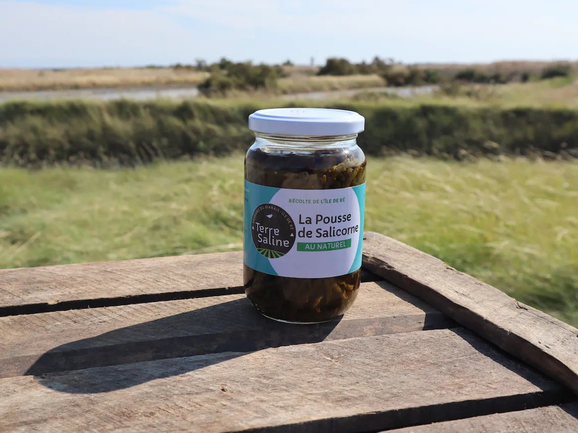 Pousse de salicorne bio au naturel 120 g - goobio-and-zen