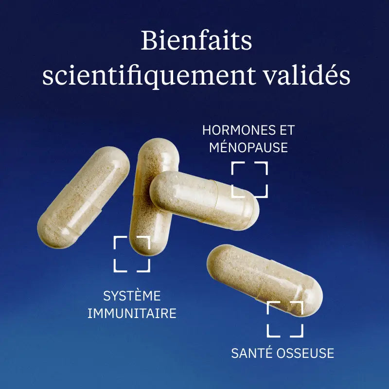 Vitamine D3 végétale - 60 gélules