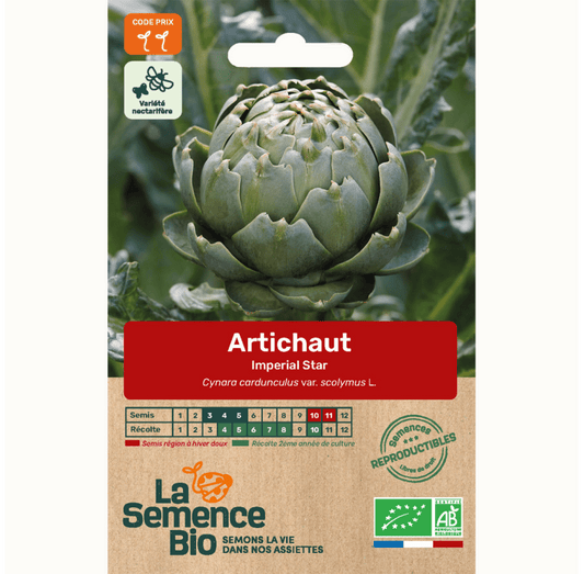 ARTICHAUT Impérial Star - Graines Bio - 0,5 g - goobio-and-zen