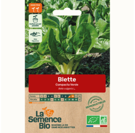 BLETTE Compacta verde - Graines Bio - 3 g - goobio-and-zen