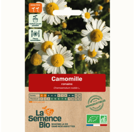 CAMOMILLE romaine - Graines Bio - 0,1 g - goobio-and-zen