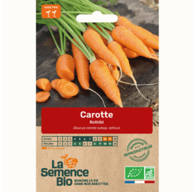 CAROTTE Rothild - Graines Bio -1,2 g - goobio-and-zen