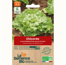 CHICORÉE scarole Bubikopf 3 - Graines Bio - 0,2 g - goobio-and-zen