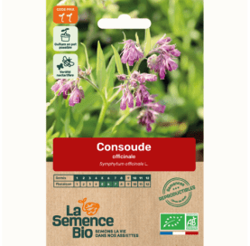 CONSOUDE officinale - Graines Bio - 0,35 g - goobio-and-zen