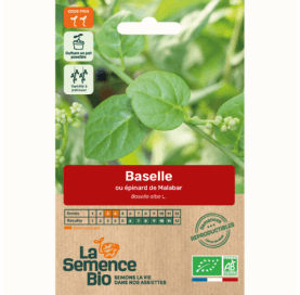ÉPINARD Baselle ou Épinard de Malabar - Graines Bio - 1 g - goobio-and-zen