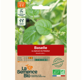 ÉPINARD Baselle ou Épinard de Malabar - Graines Bio - 1 g