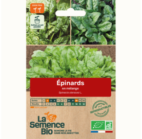 ÉPINARDS en mélange - Graines Bio - 6 g