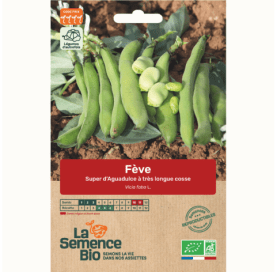 FÈVE d'Aguadulce à très longue cosse - Graines Bio - 50 g - goobio-and-zen