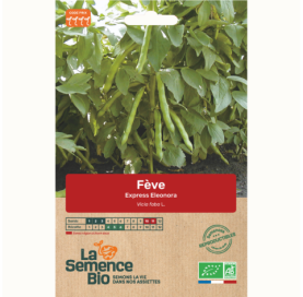 FÈVE Express Eleonora - Graines Bio - 50 g