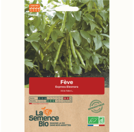 FÈVE Express Eleonora - Graines Bio - 50 g - goobio-and-zen