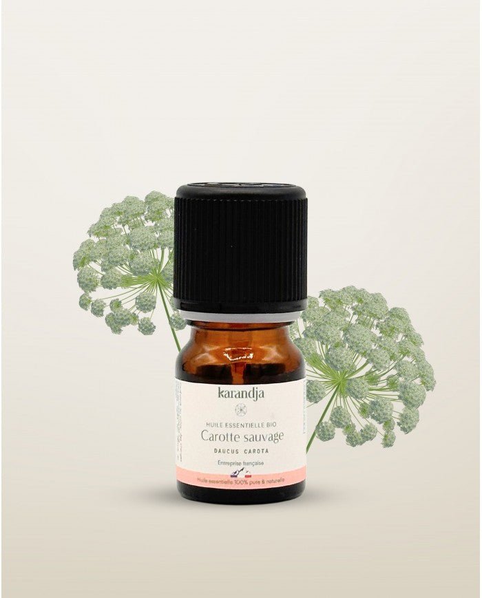 HE Carotte sauvage BIO - 2,5 mL - NOUVEAUTE - goobio - and - zen