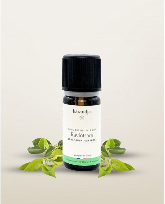 HE Ravintsara BIO - 10 mL - goobio - and - zen