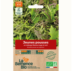 JEUNES POUSSES en mélange Mizuna - Graines Bio- 1 g - goobio-and-zen