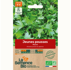 JEUNES POUSSES Mizuna - Graines Bio - 1,5 g - goobio-and-zen