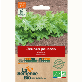 JEUNES POUSSES Wasabino - Graines Bio - 0,5 g - goobio-and-zen