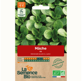 MÂCHE Vit - Graines Bio - 1,8 g - goobio-and-zen