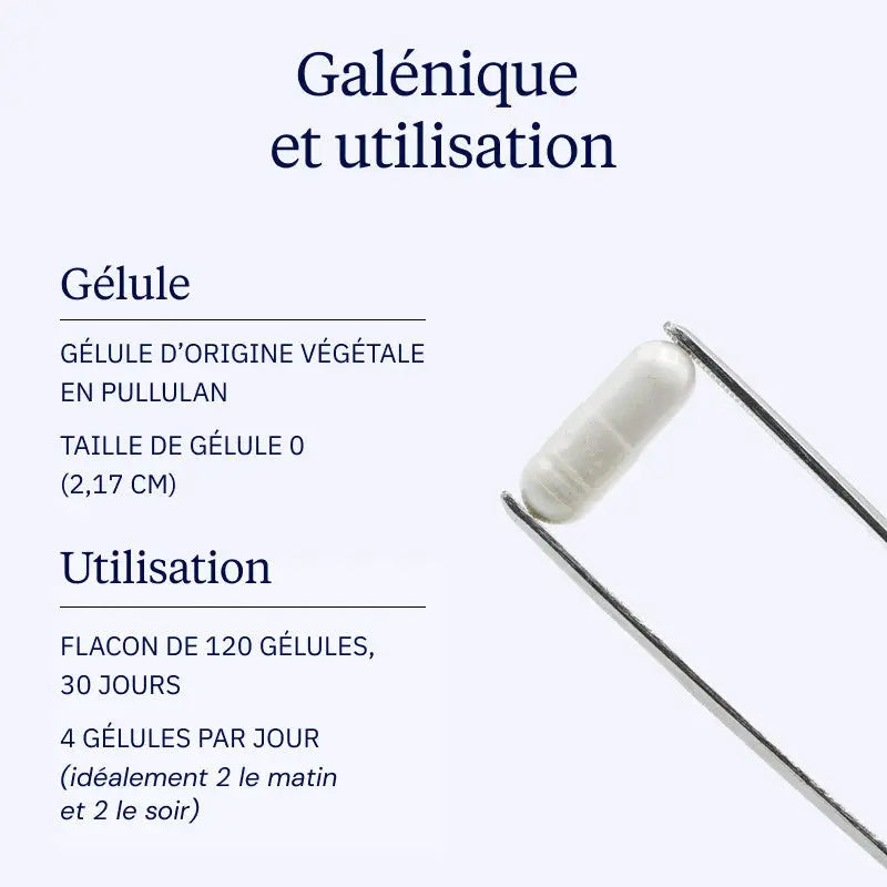 Complexe MAGNESIUM 360 - 120 gélules