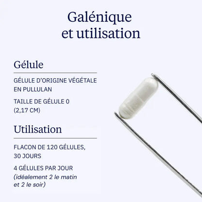 Complexe MAGNESIUM 360 - 120 gélules