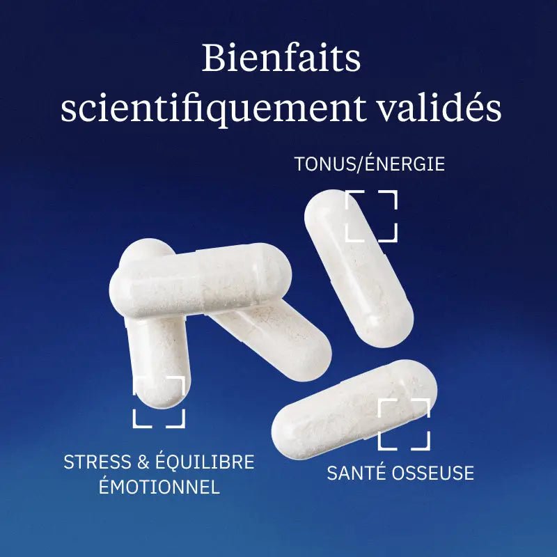 Magnésium bisglycinate chélaté - gélules ou en poudre - goobio-and-zen
