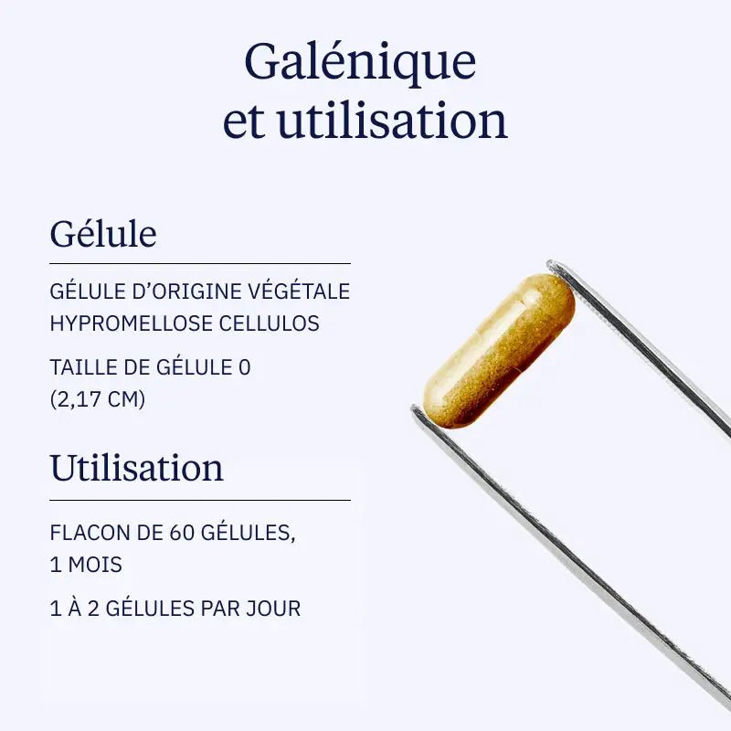 Mélisse BIO - 60 gélules - goobio-and-zen