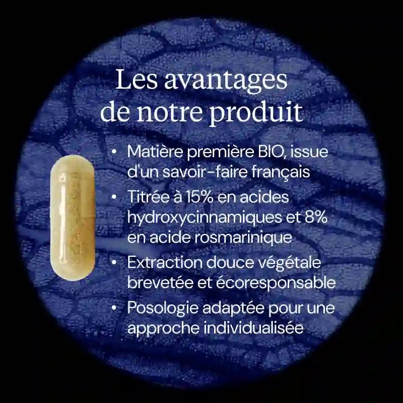 Mélisse BIO - 60 gélules - goobio-and-zen