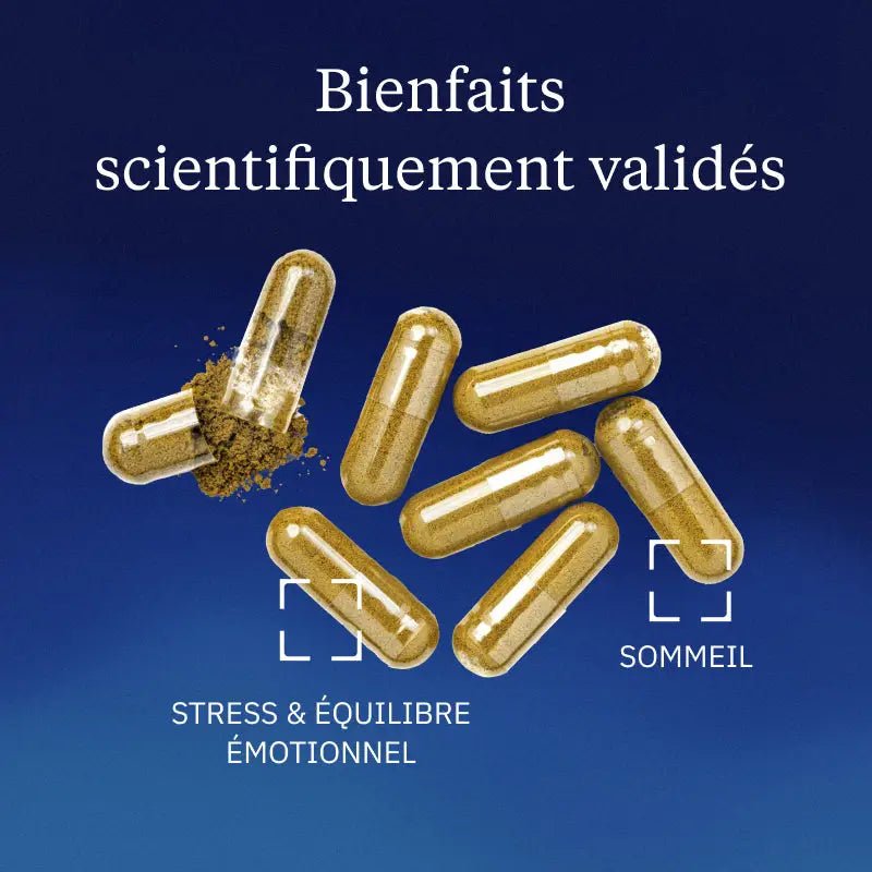 Mélisse BIO - 60 gélules - goobio-and-zen