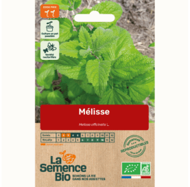 MELISSE - Graines Bio - 0,2 g - goobio-and-zen
