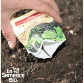 MESCLUN asiatique - Graines Bio - 2,5 g - goobio-and-zen