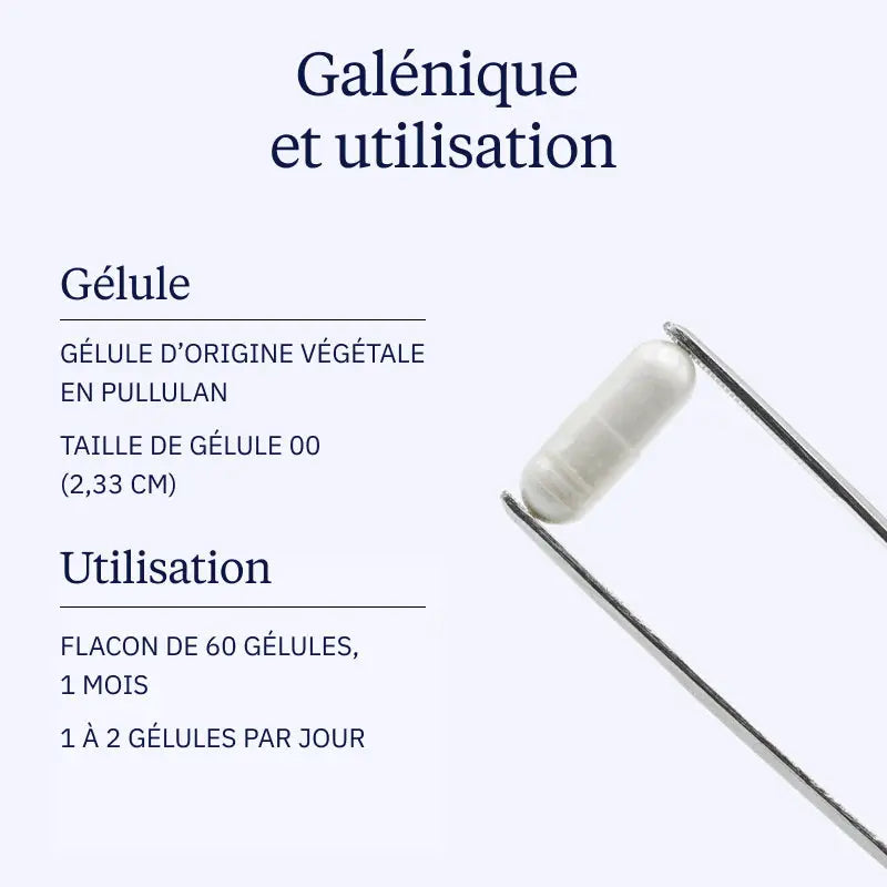 NAC : N-acétylcystéine pure - 60 gélules