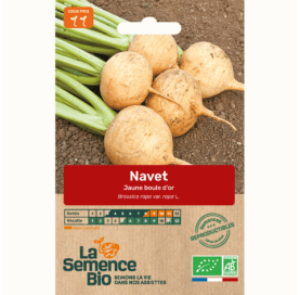 NAVET jaune Boule d'Or - Graines Bio - 1 g - goobio-and-zen
