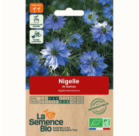 NIGELLE de Damas - Graines Bio - 1,5 g - goobio-and-zen