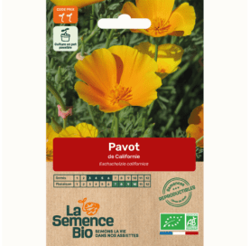 PAVOT de Californie - Graines Bio - 0,4 g - goobio-and-zen