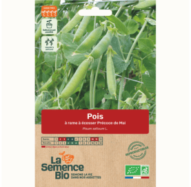 POIS à écosser à rame Précoce de Mai - Graines Bio -40 g - goobio-and-zen