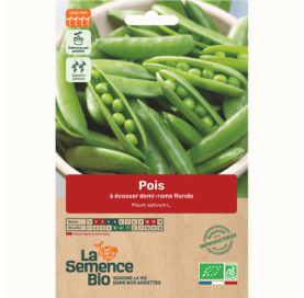 POIS à écosser demi-rame Rondo - Graines Bio - 40 g - goobio-and-zen
