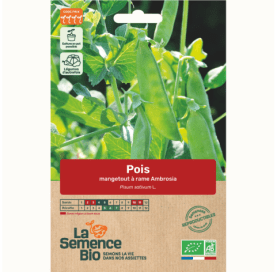 POIS mangetout à rame Ambrosia - Graines Bio - 40 g - goobio-and-zen