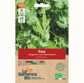 POIS mangetout à rame Sweet Horizon - Graines Bio -40 g - goobio-and-zen