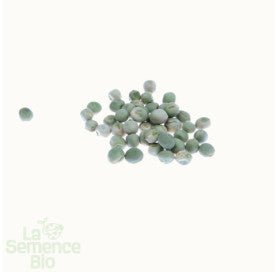 POIS nain à écosser Karina - Graines Bio - 40 g - goobio-and-zen
