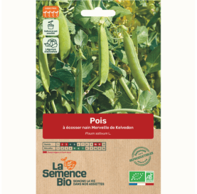 POIS nain à écosser Merveille de Kelvedon - Graines Bio - 50 g - goobio-and-zen