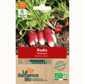 RADIS Flamboyant 2 - Graines Bio - 2 g - goobio-and-zen