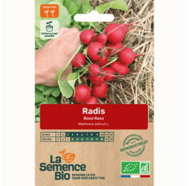 RADIS Rond Raxe - Graines Bio - 3 g - goobio-and-zen
