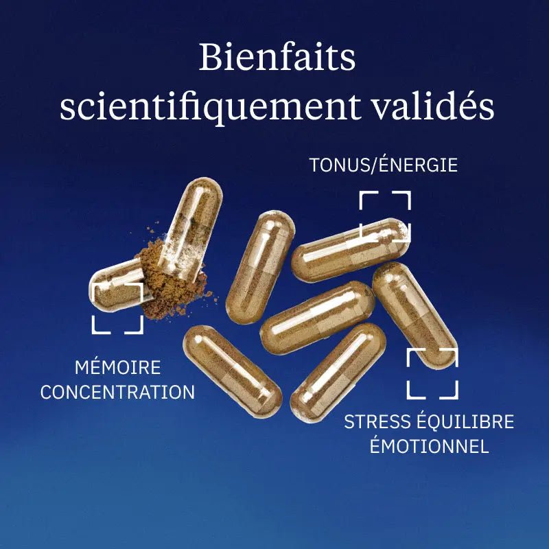 Rhodiola rosea - 60 gélules - goobio-and-zen