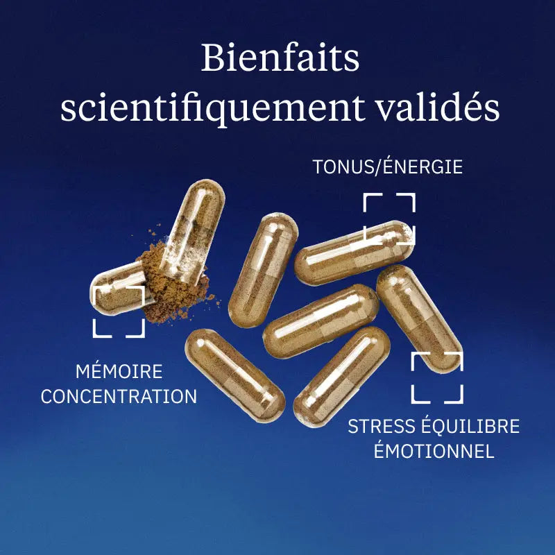 Rhodiola rosea - 60 gélules