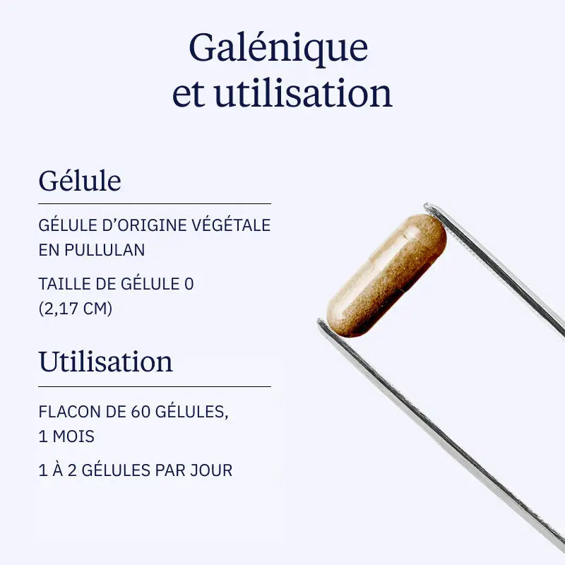 Rhodiola rosea - 60 gélules