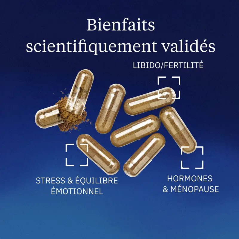 Safran BIO - 60 gélules - goobio-and-zen